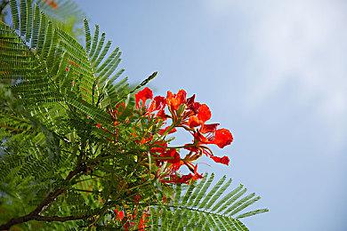 《光与影：33号远征队》将不会有小地图 加强探索感